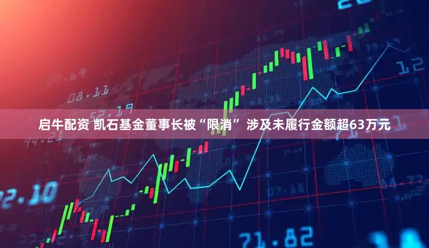 启牛配资 凯石基金董事长被“限消” 涉及未履行金额超63万元