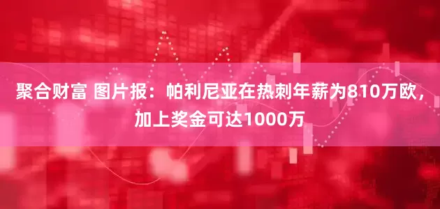 聚合财富 图片报：帕利尼亚在热刺年薪为810万欧，加上奖金可达1000万