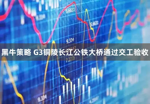 黑牛策略 G3铜陵长江公铁大桥通过交工验收
