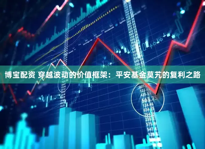 博宝配资 穿越波动的价值框架：平安基金莫艽的复利之路