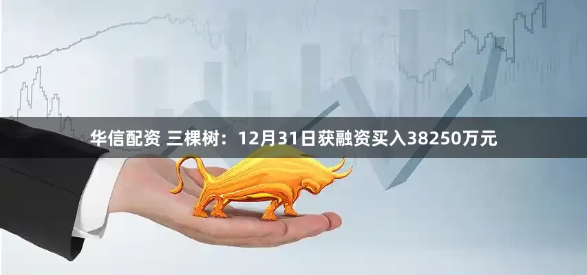 华信配资 三棵树：12月31日获融资买入38250万元