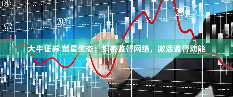 大牛证券 楚星生态：织密监督网络，激活监督动能
