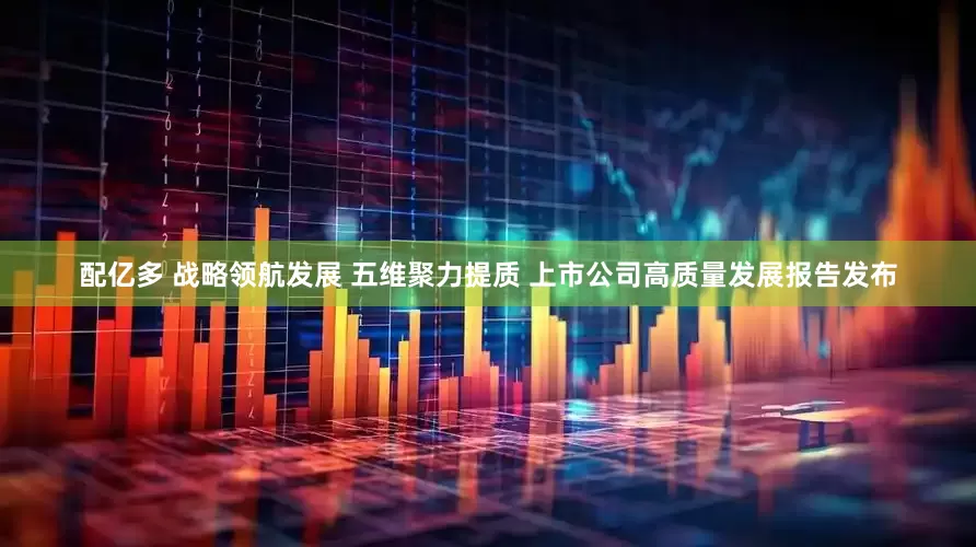 配亿多 战略领航发展 五维聚力提质 上市公司高质量发展报告发布