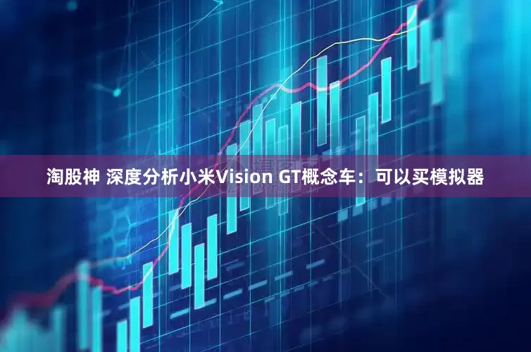 淘股神 深度分析小米Vision GT概念车：可以买模拟器