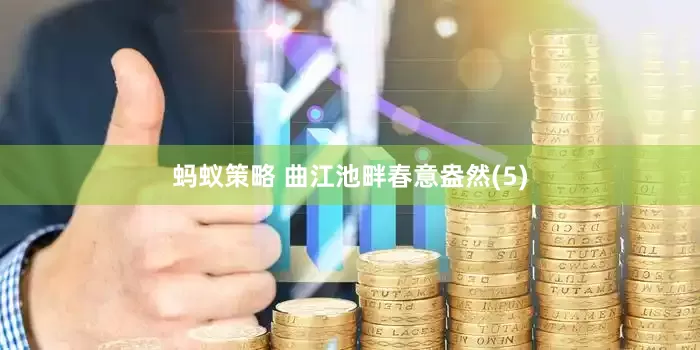 蚂蚁策略 曲江池畔春意盎然(5)
